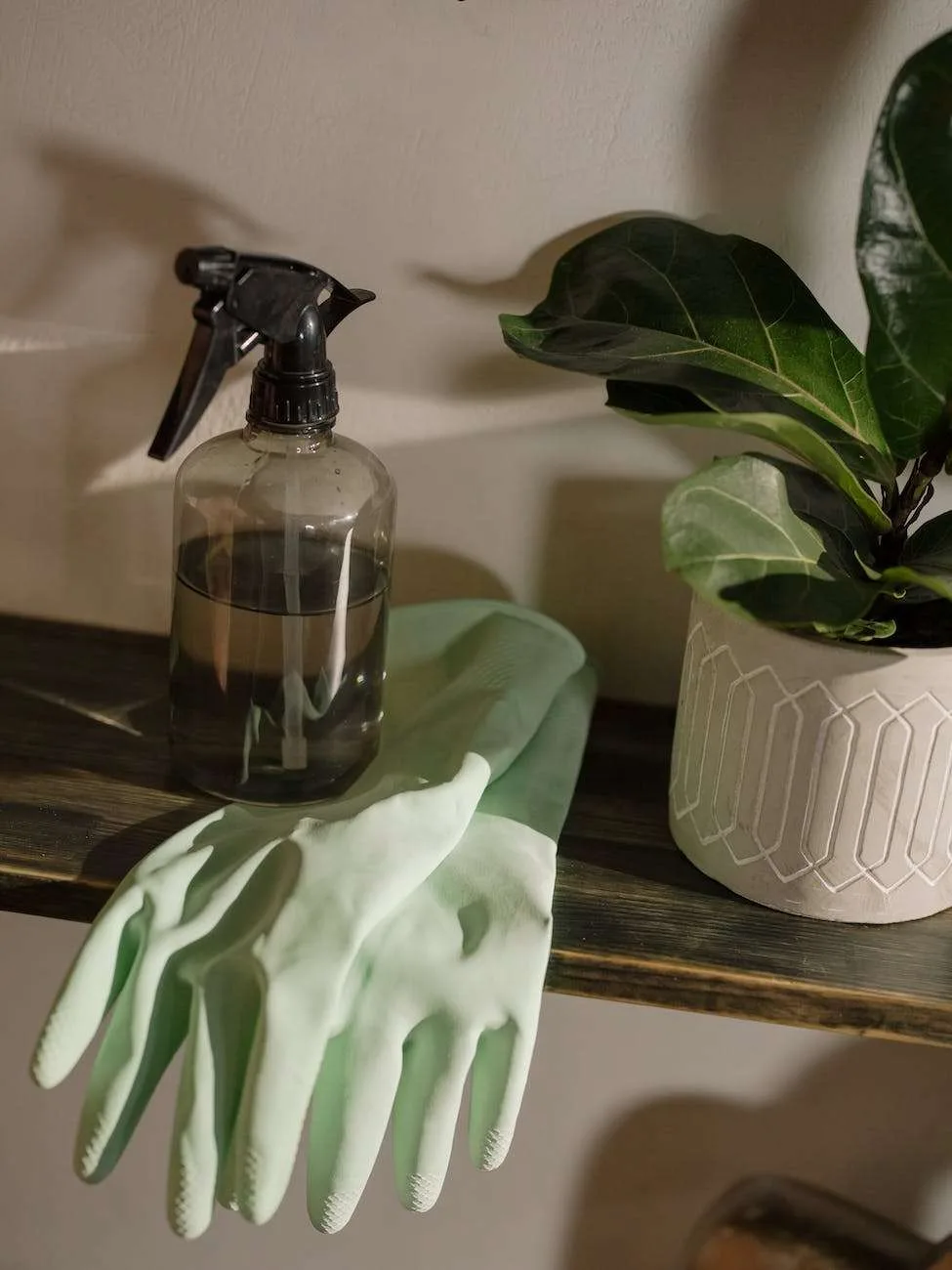 6 consejos útiles para cuidar tu mesa de madera natural