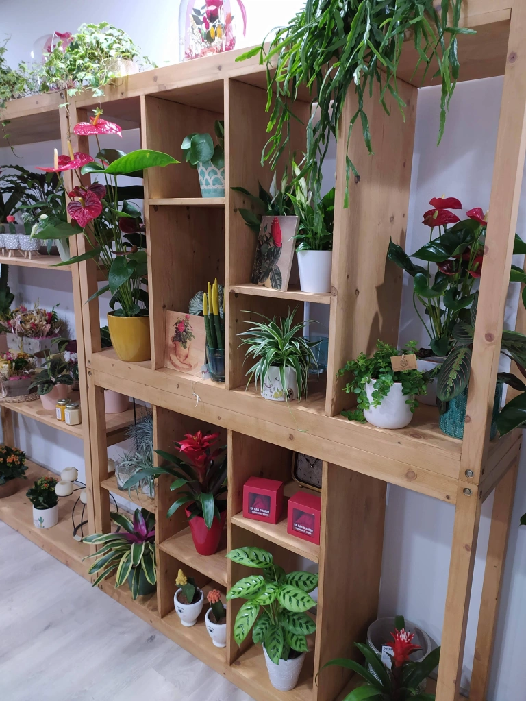 estanterías para tiendas